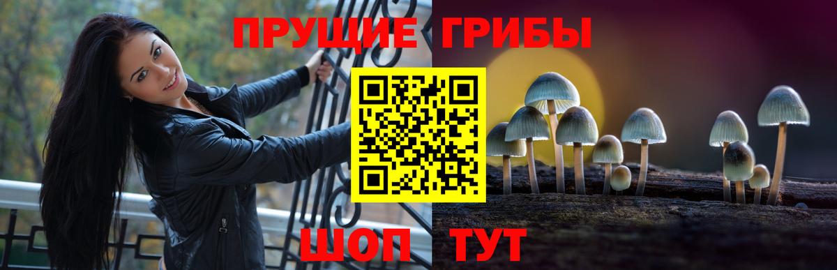 Псилоцибиновые грибы мухоморы  магазин    Великие Луки  Вход с VPN 
